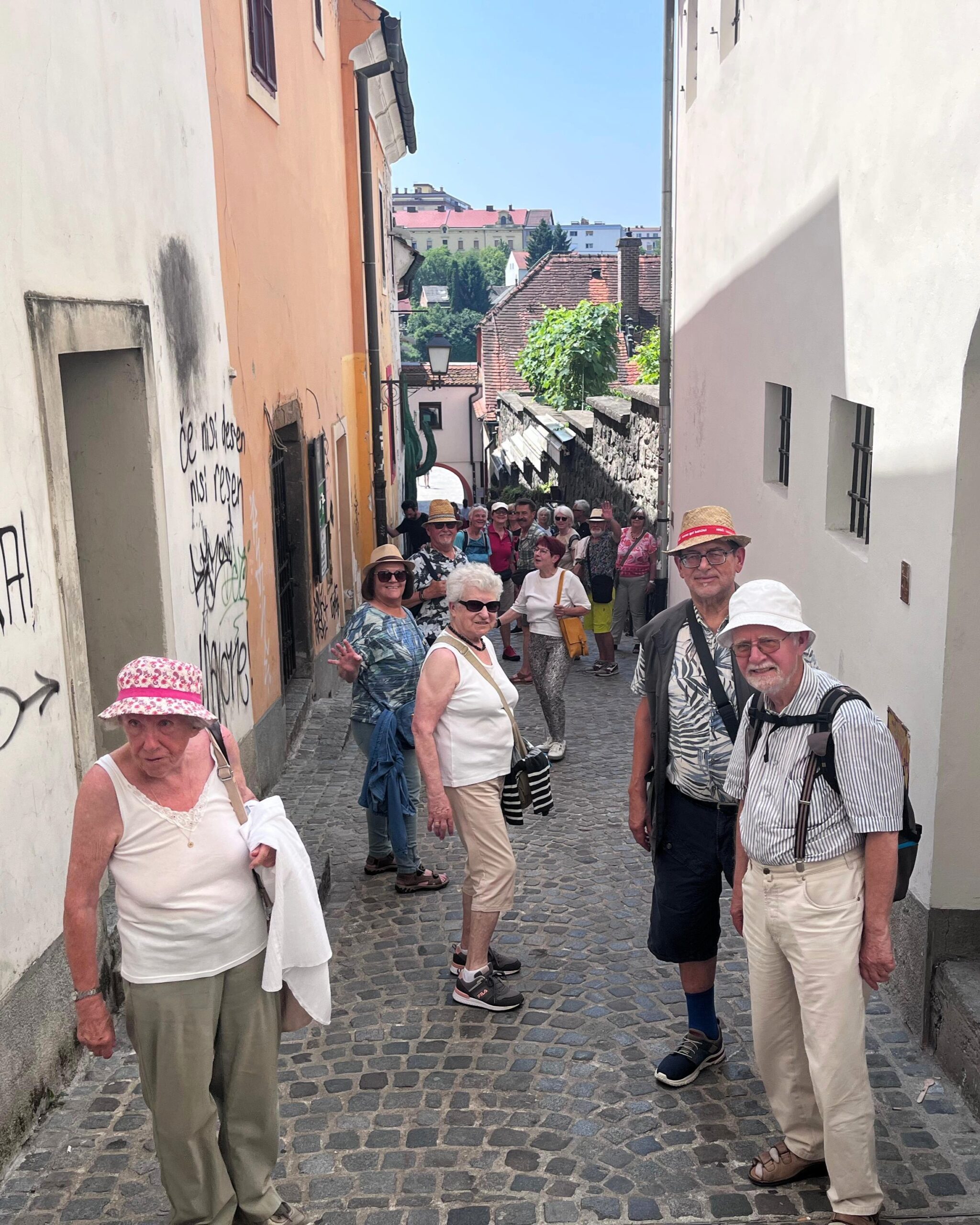 Sommerprogramm
